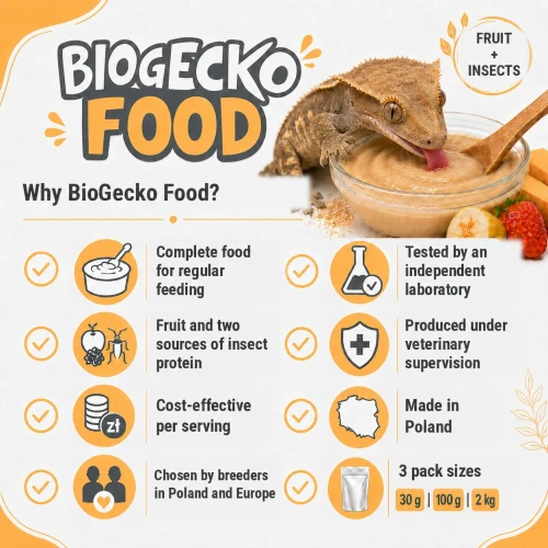 Why BioGecko Food_ .webp